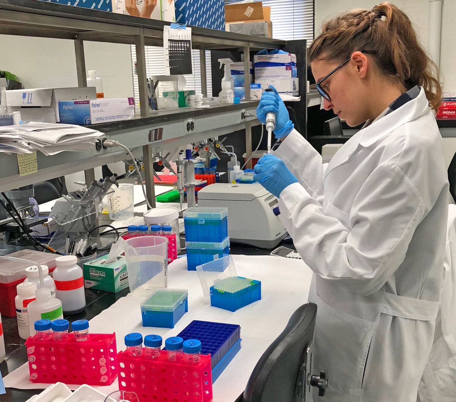 Lab work